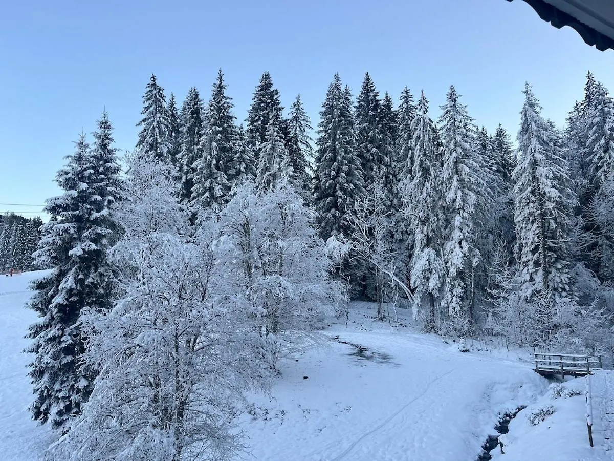 The Cabin At Morillon 1100 Frankrig